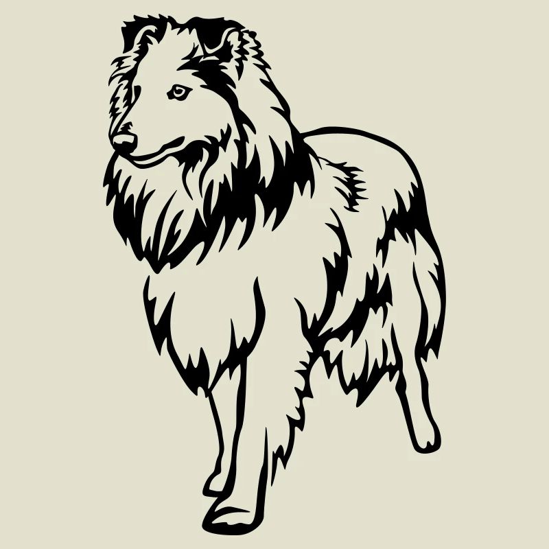 Sheltie