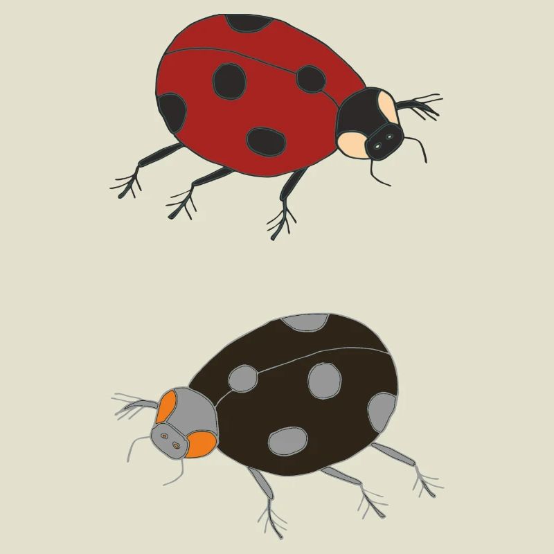 ladybug duo colored
