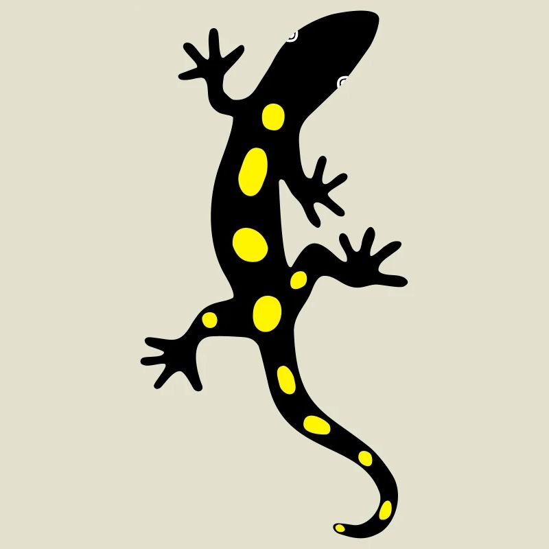 Lizard Salamander Gecko Fire Salamander