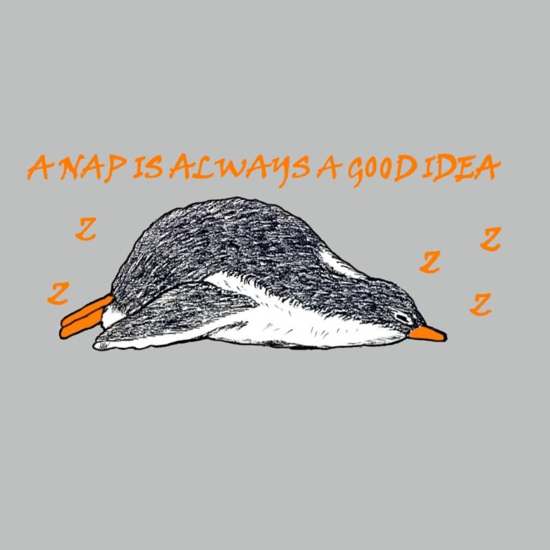 A nap is always a good idea