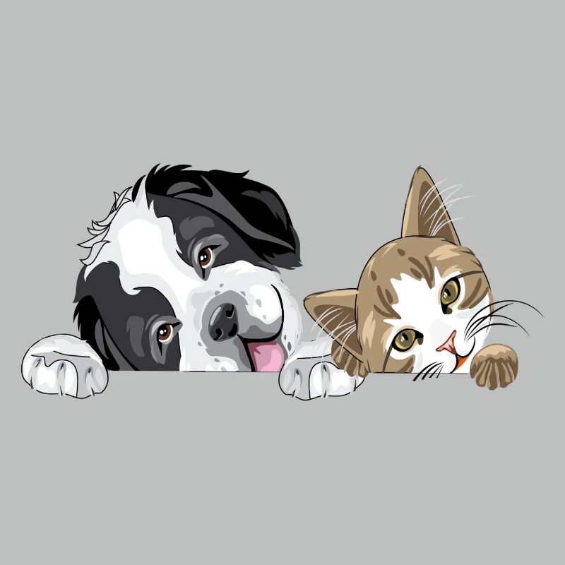 Cat and dog