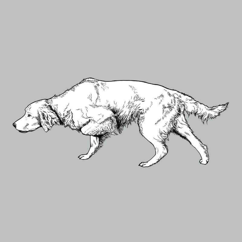 Setter above