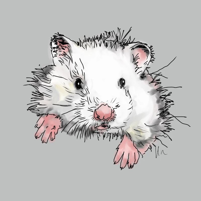 Hamster