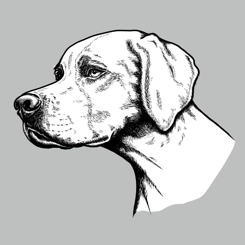 Pointer Portrait