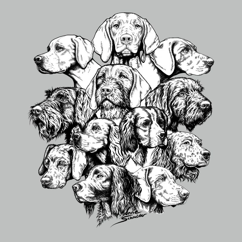Chiens pointant des objets cachés