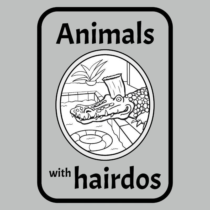 Crocodile avec coiffure