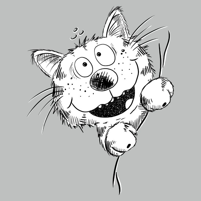 Drôle de chat rit