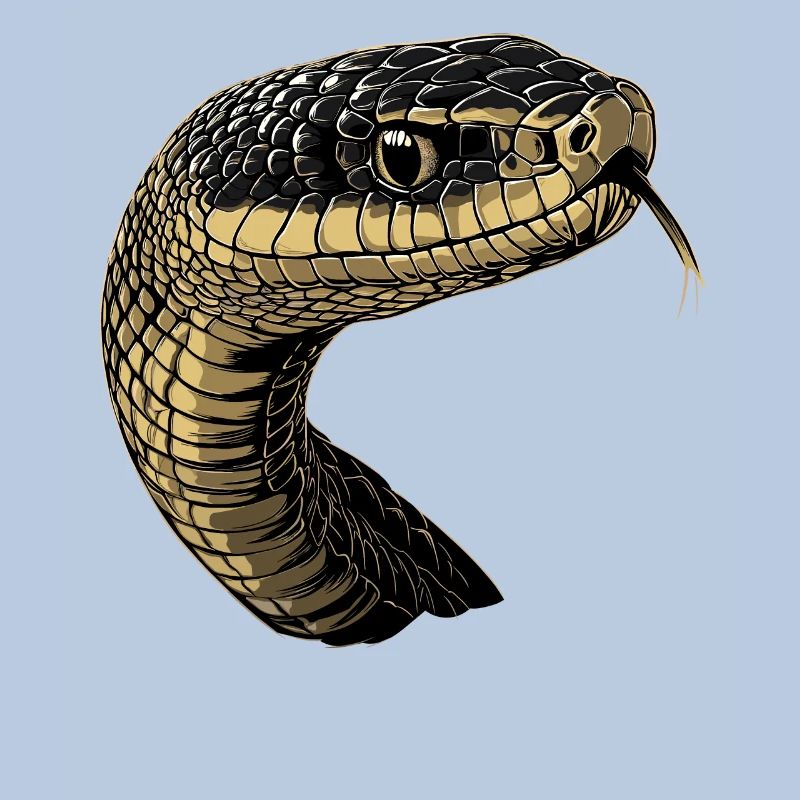 Schlange Python Kobra Mamba Klapperschlange Snake
