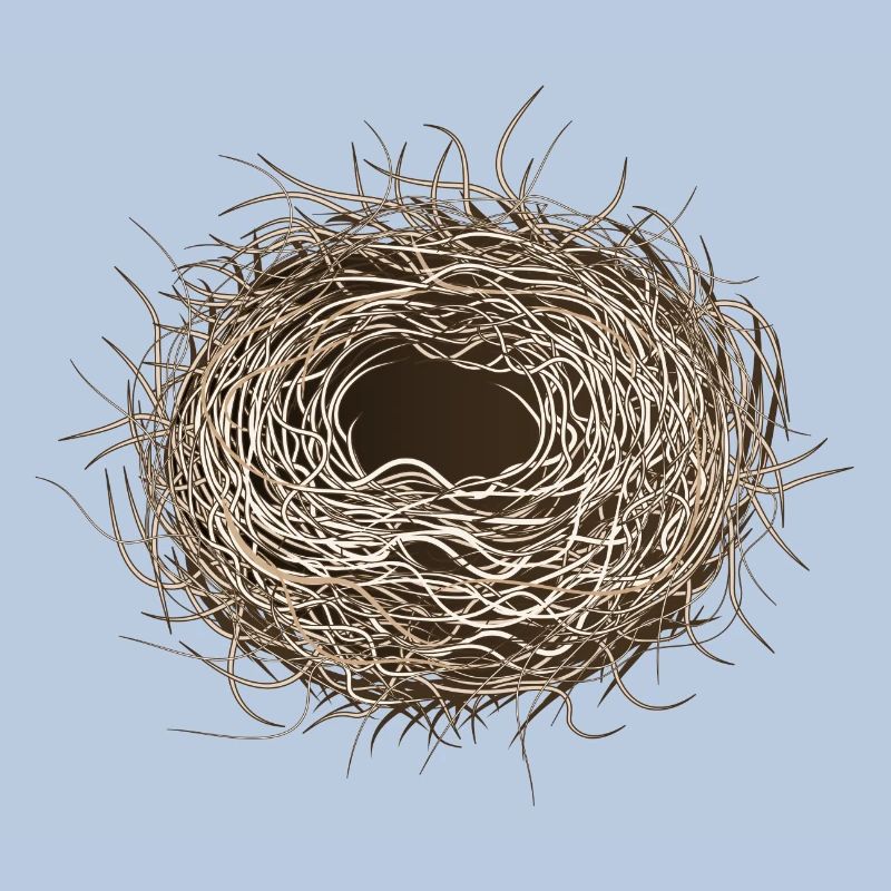 empty bird's nest or easter basket for spring