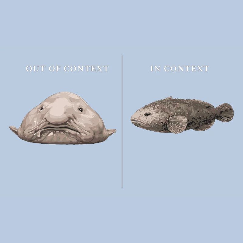 Blobfish hors contexte vs comparaison dans le contexte