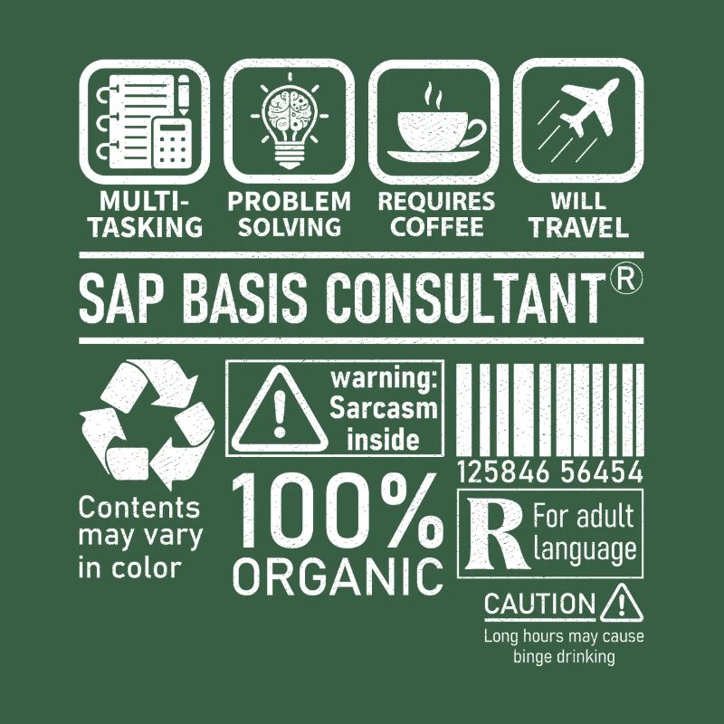 Sap Basis Consultant multi tasking problem solving