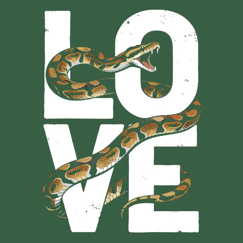 King Python Snakes LOVE Terrarium Python