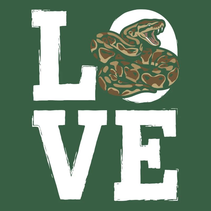 King Python Snakes LOVE Terrarium Python