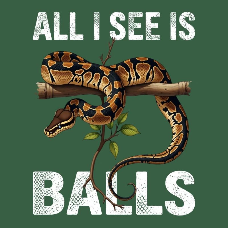 Königspython Schlangen Liebhaber Terrarium Python