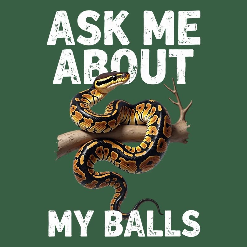 Königspython Schlangen Liebhaber Terrarium Python