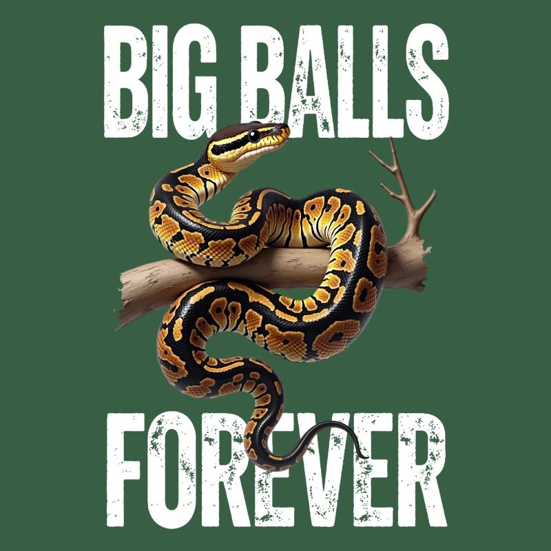 Python roi Serpents Amateurs de terrarium Python