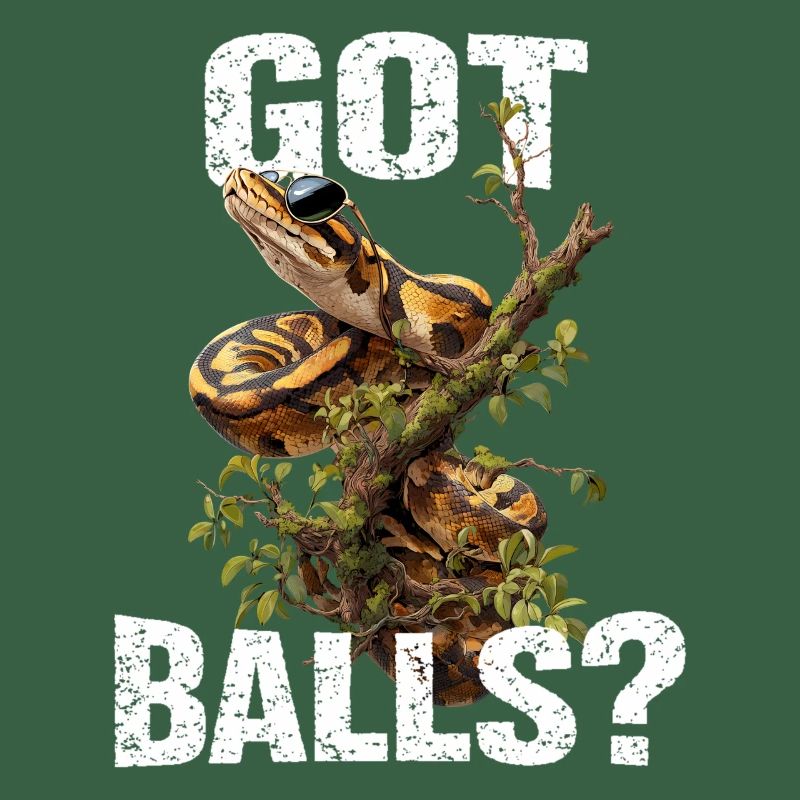 Python roi Serpents Amateurs de terrarium Python