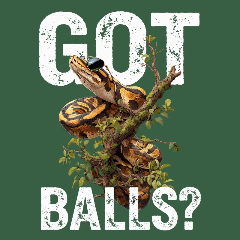 Python roi Serpents Amateurs de terrarium Python