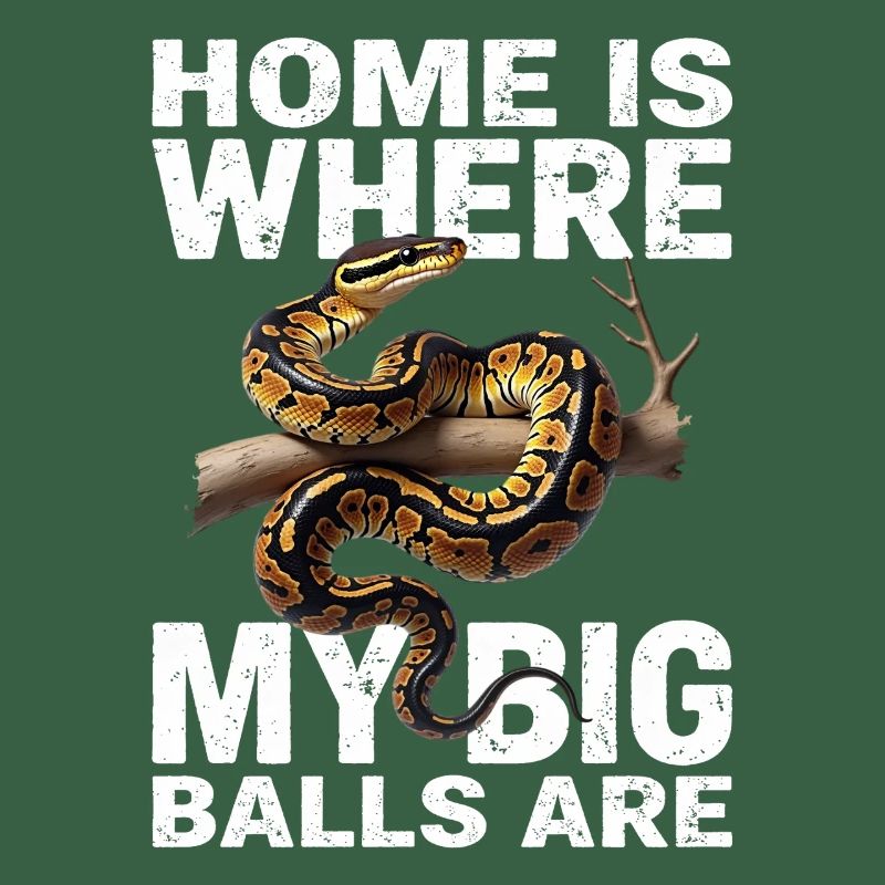 Python roi Serpents Amateurs de terrarium Python