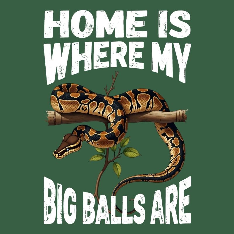 Python roi Serpents Amateurs de terrarium Python