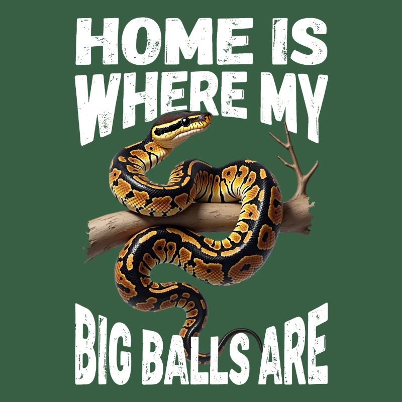 Königspython Schlangen Liebhaber Terrarium Python