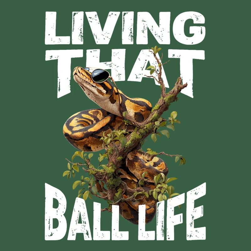 Königspython Schlangen Liebhaber Terrarium Python