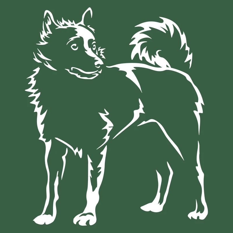 Schipperke "Black Edition"