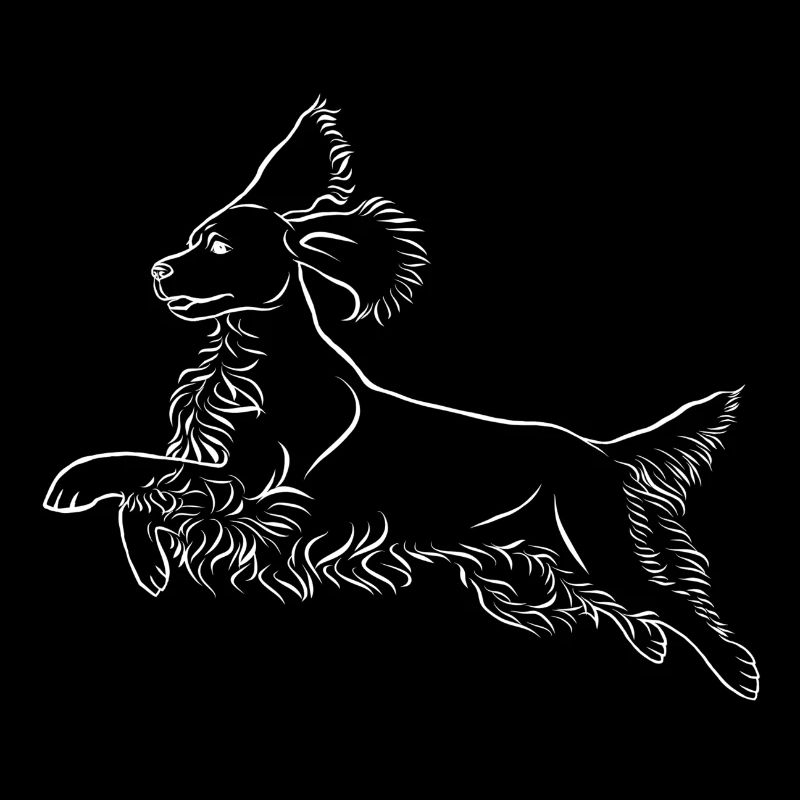 Springer Spaniel