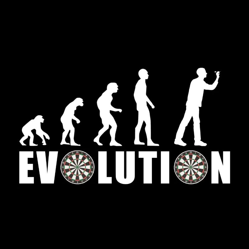 EVOLUTION DARTS Game Arrow Dartboard Gift