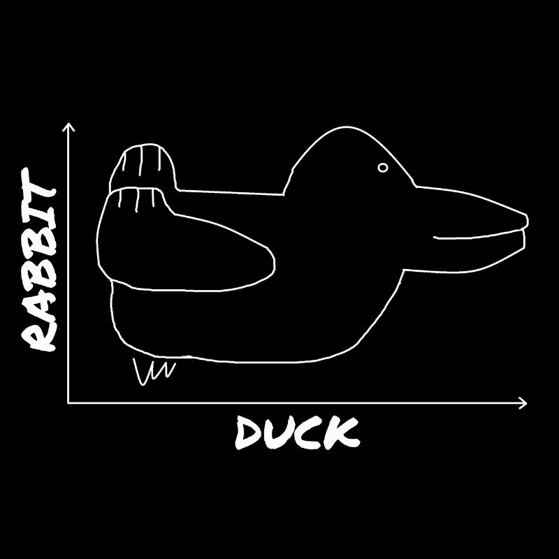 Funny Duck Graphic Rabbit