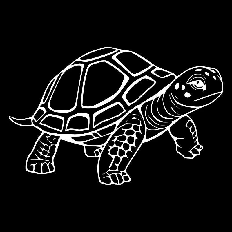 Turtle Turtles