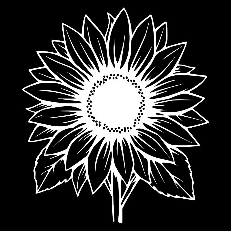 Fleur blanche Fleur blanche Fleurs de tournesol