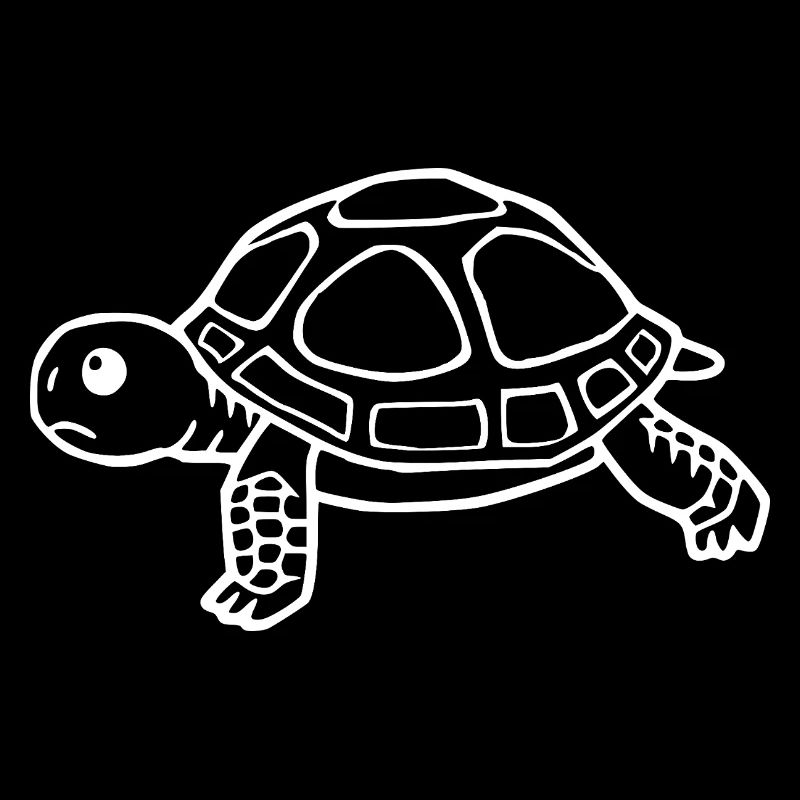 Turtle Turtles