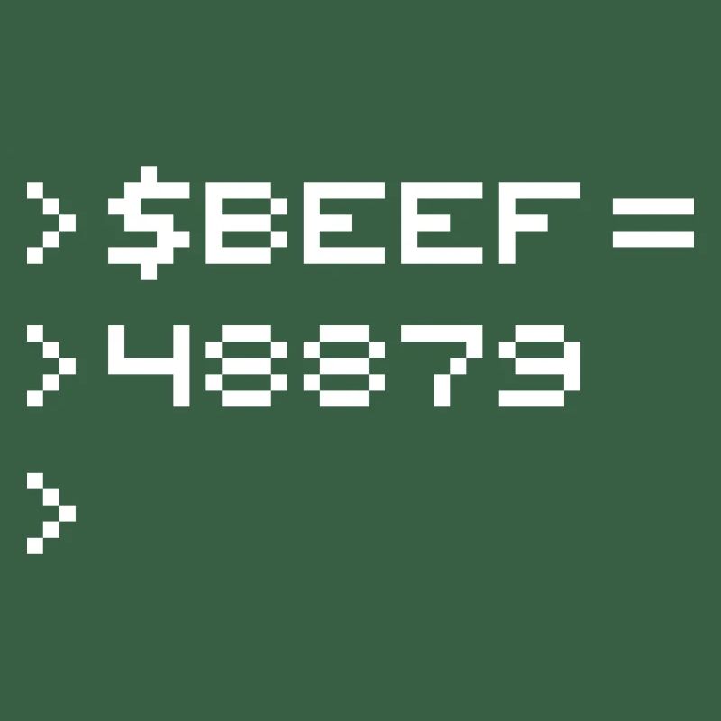 BEEF 8-bit Code Nerd Pixel Terminal Rétro