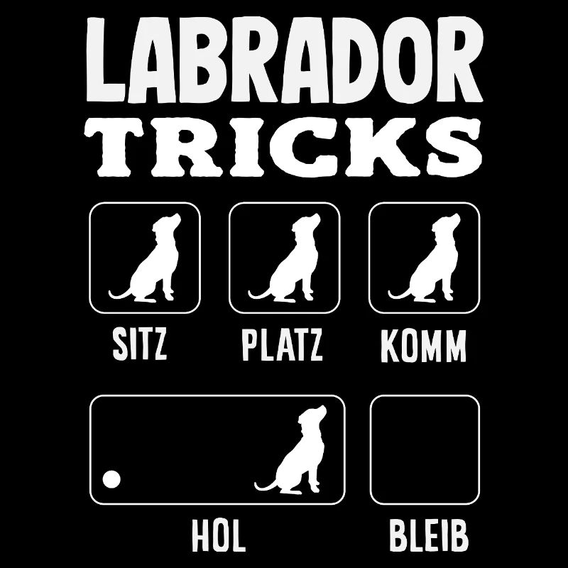 Labrador Tricks