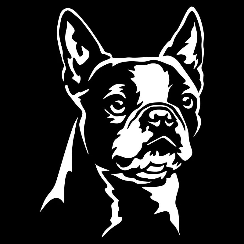 Boston Terrier Kopf "Black Edition"