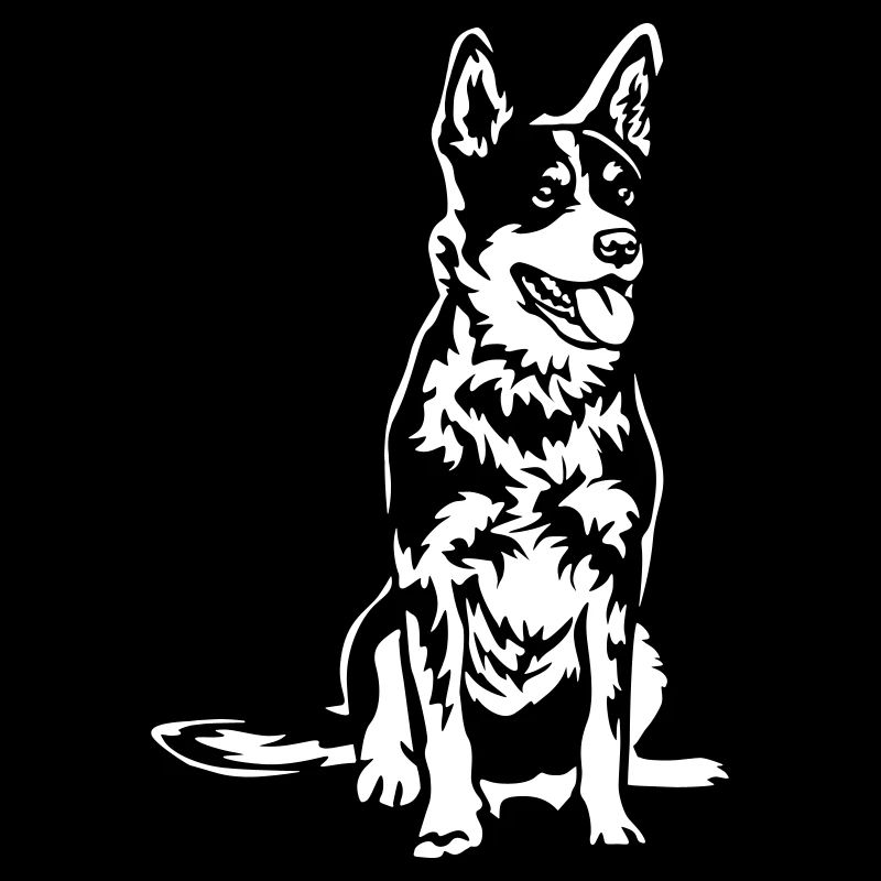 Bouvier australien « Black Edition »