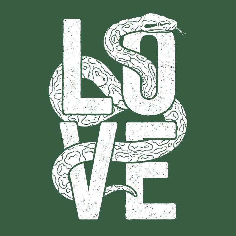 King Python Snakes LOVE Terrarium Python
