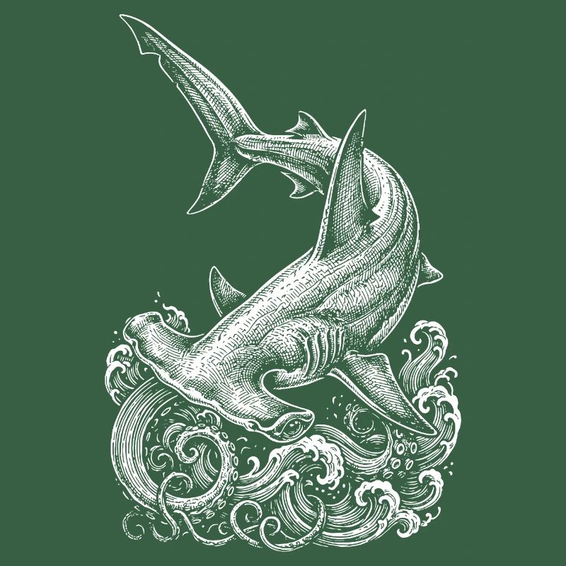 Conception du requin-marteau