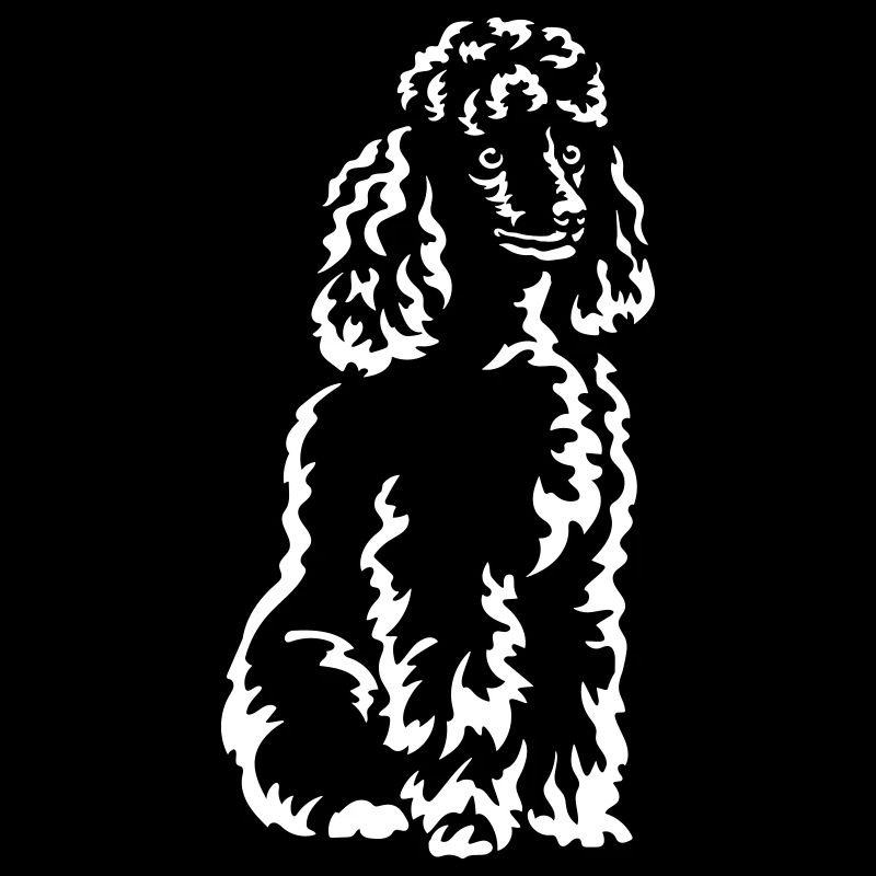 Caniche « Black Edition »
