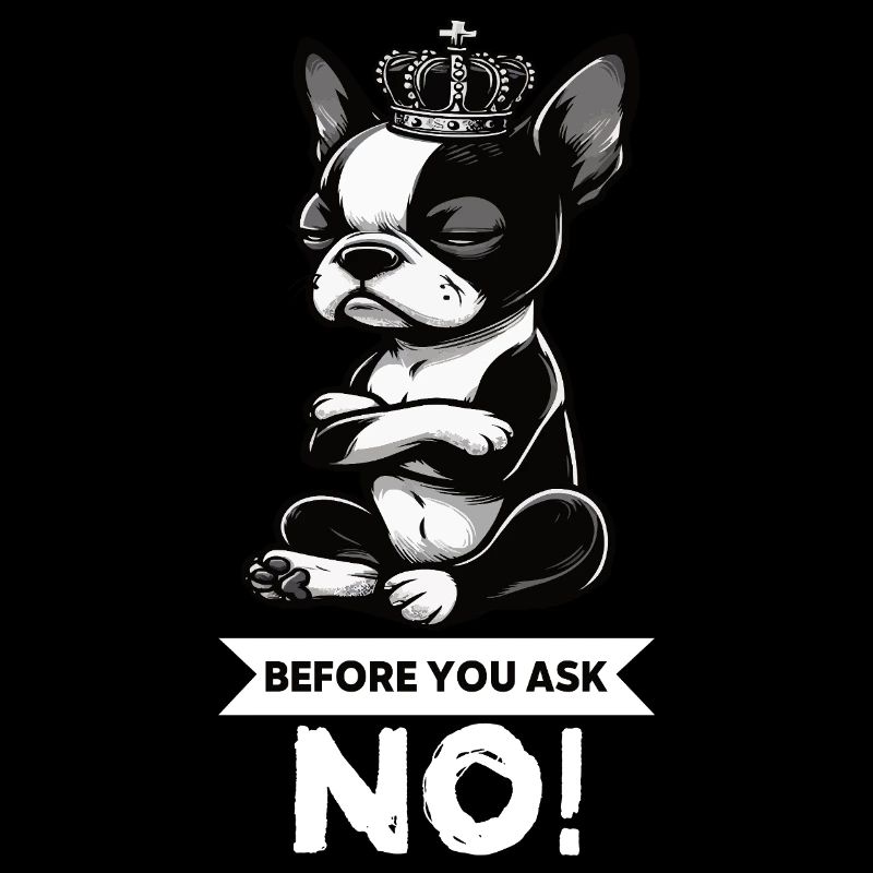 Before You Ask Boston Boston terrier Bostie Bosti