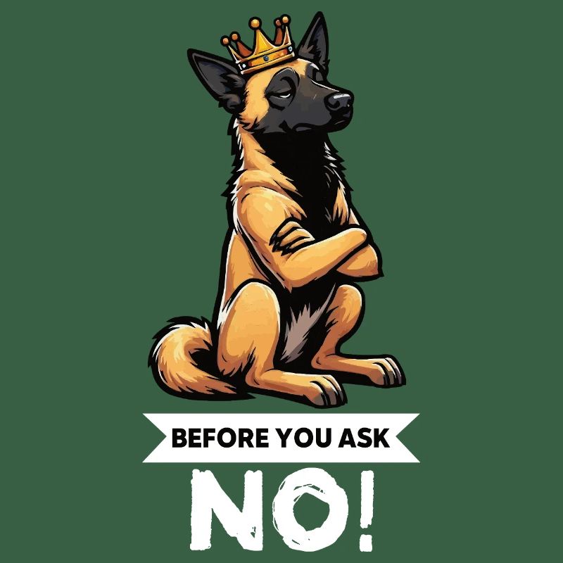 Before You Ask Malinois Belgian Shepherd Dog