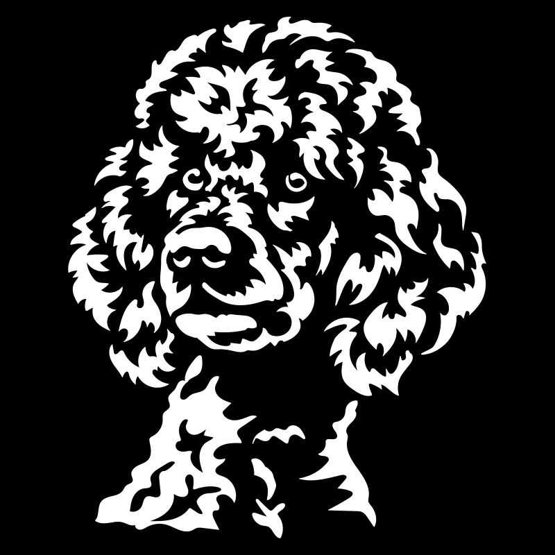 Grosse tête de caniche « Black Edition »