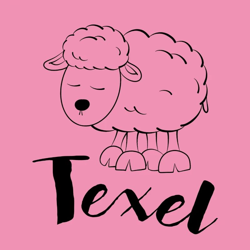 Texel Schaf