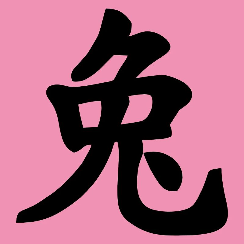 Chinese notebook rabbit shadow image