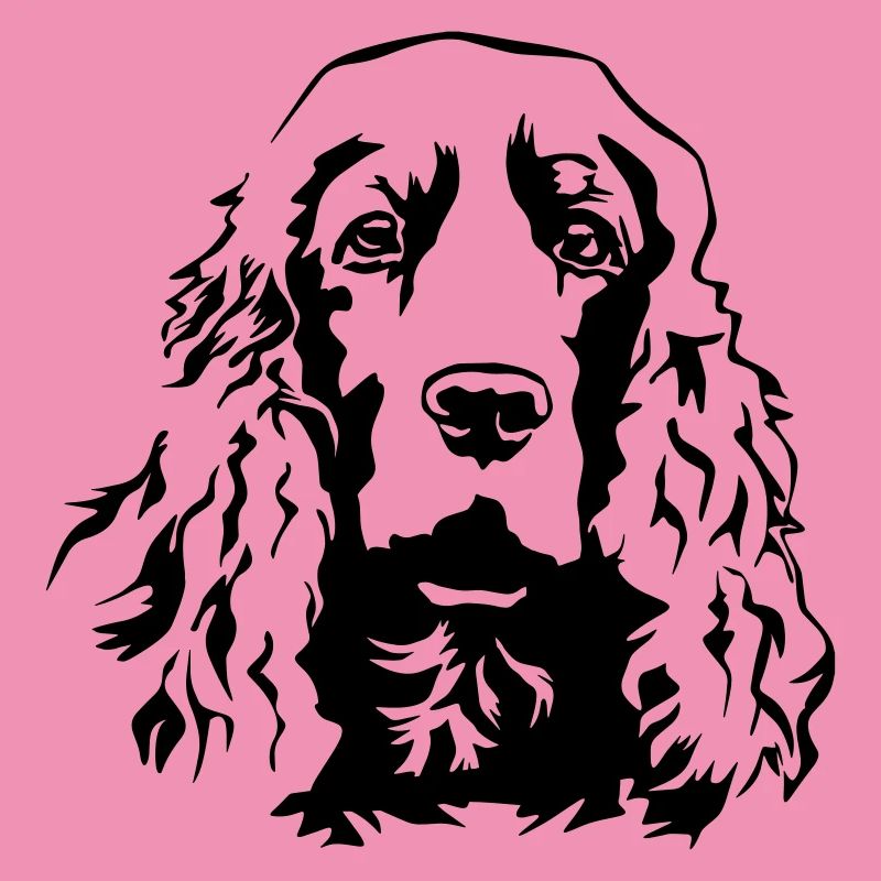 Cocker Spaniel head