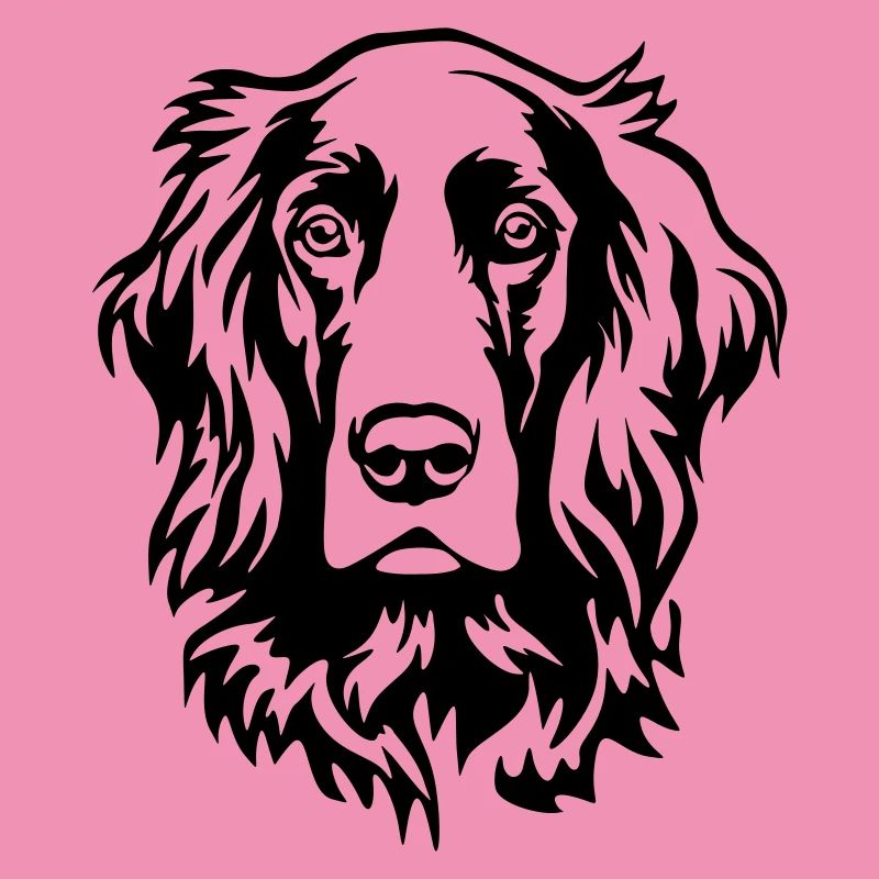 Irish Setter Head