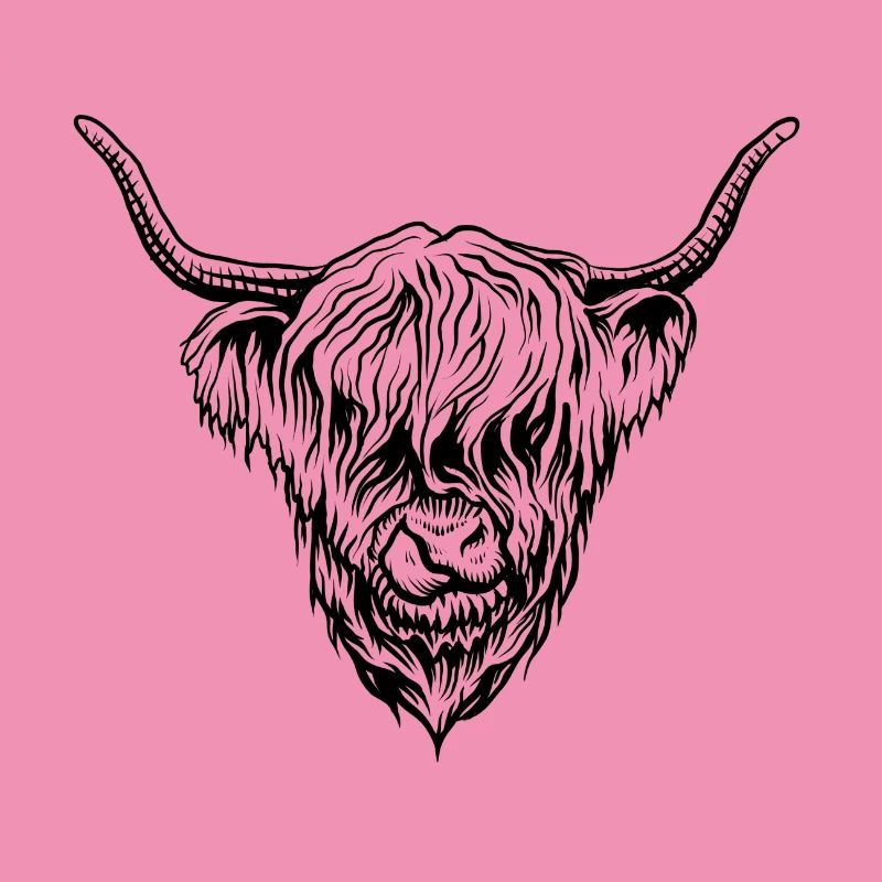 Yak beef highland cattle