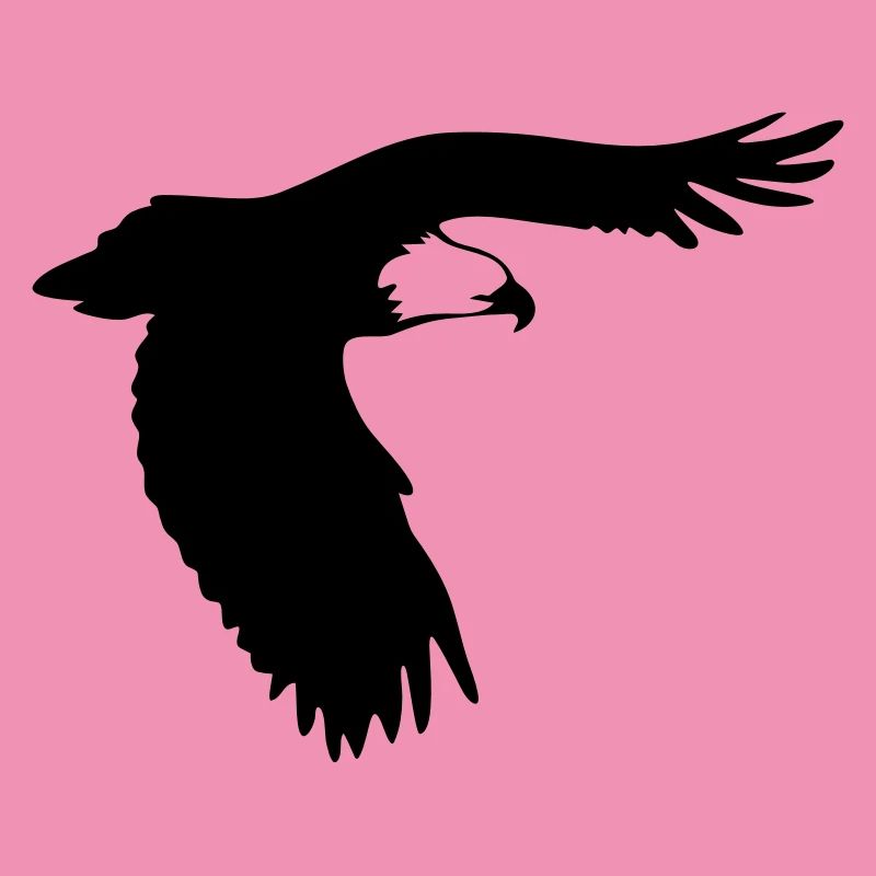 Adler im Flug