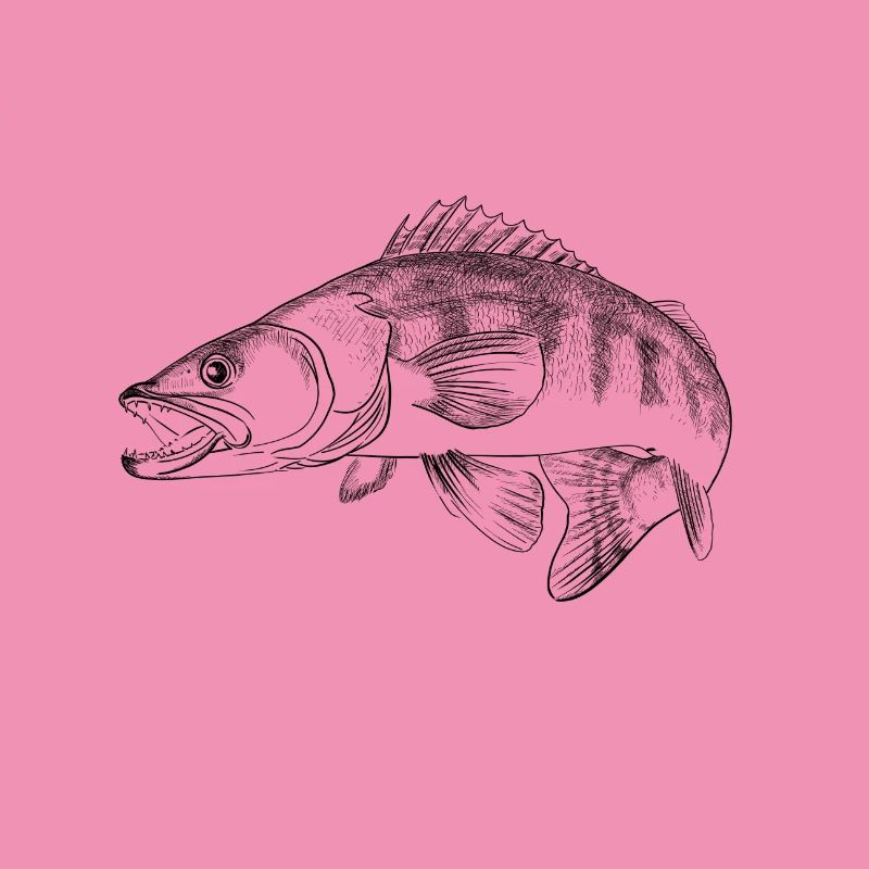 pike-perch